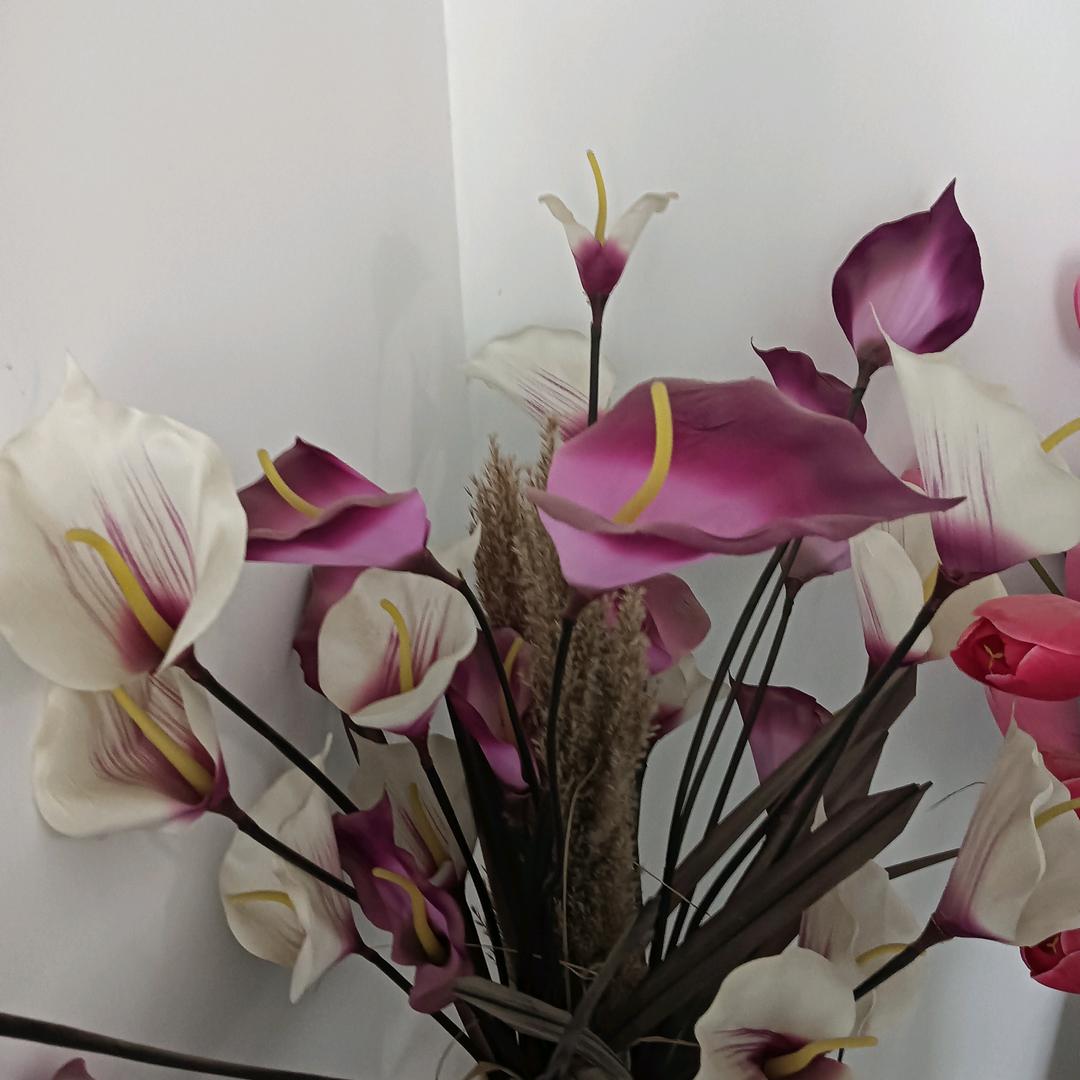 相❤️爱❤️一❤️生（不定时直播）