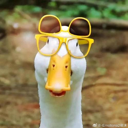 李振藩武道传播者