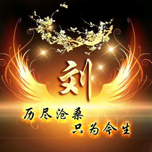 星光不问敢路人，岁月不负有心人