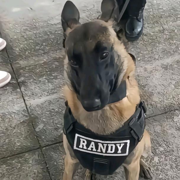 米青是魔丸の泪