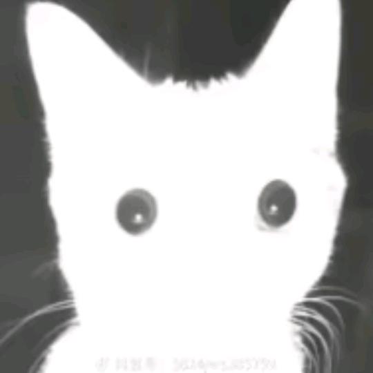 过审好南