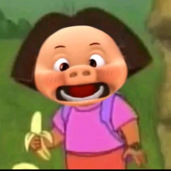 云南白敬T