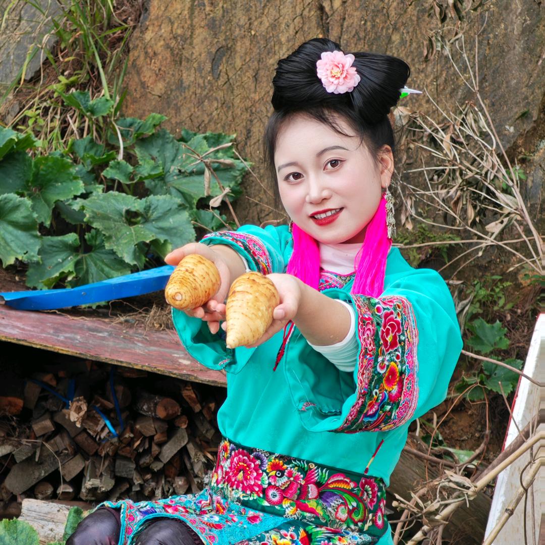 苗寨天麻姑娘