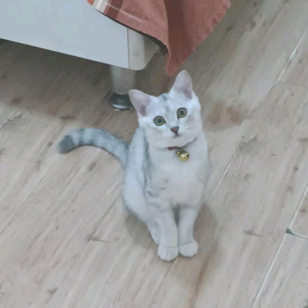 废品回收小温