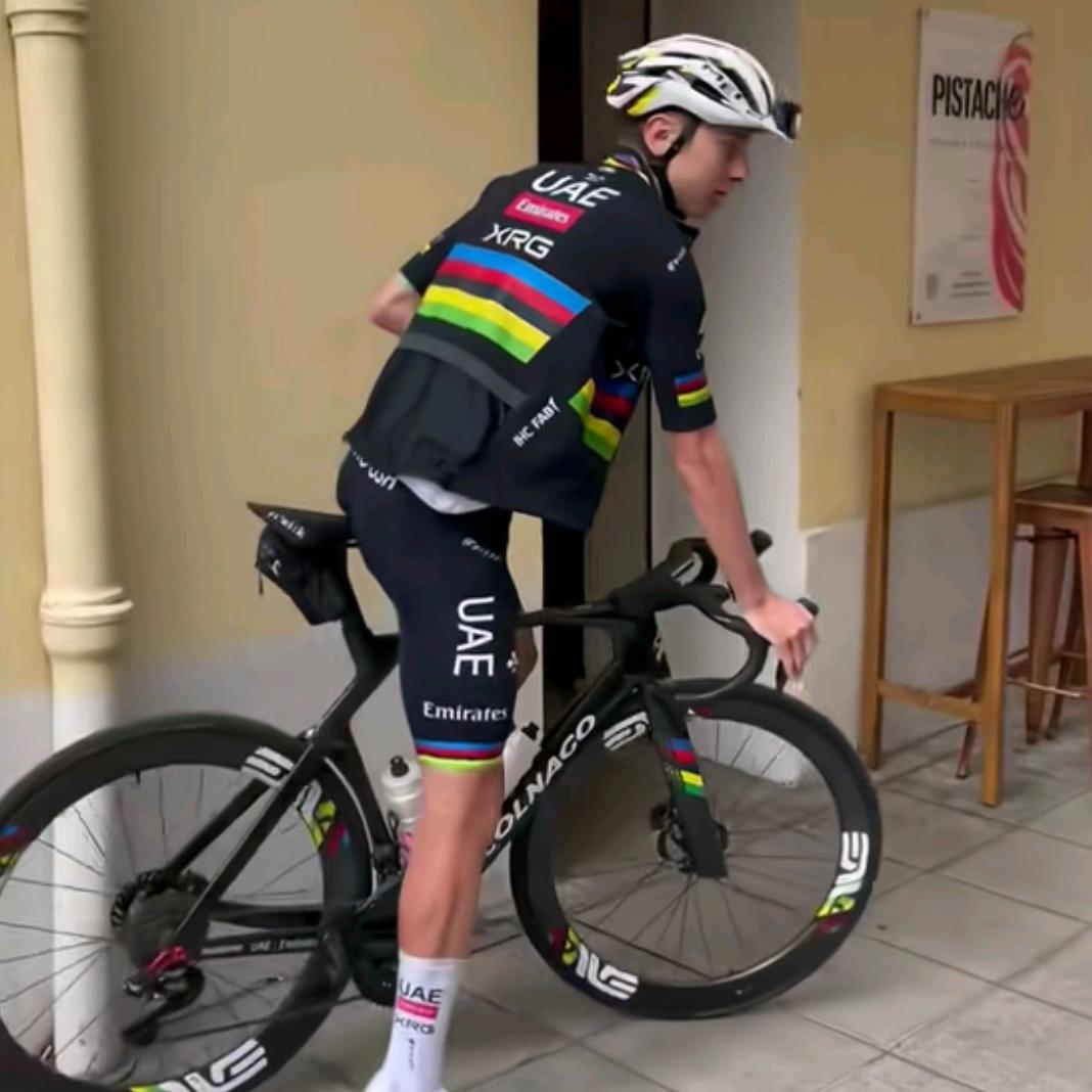 乘风破浪的苍狼