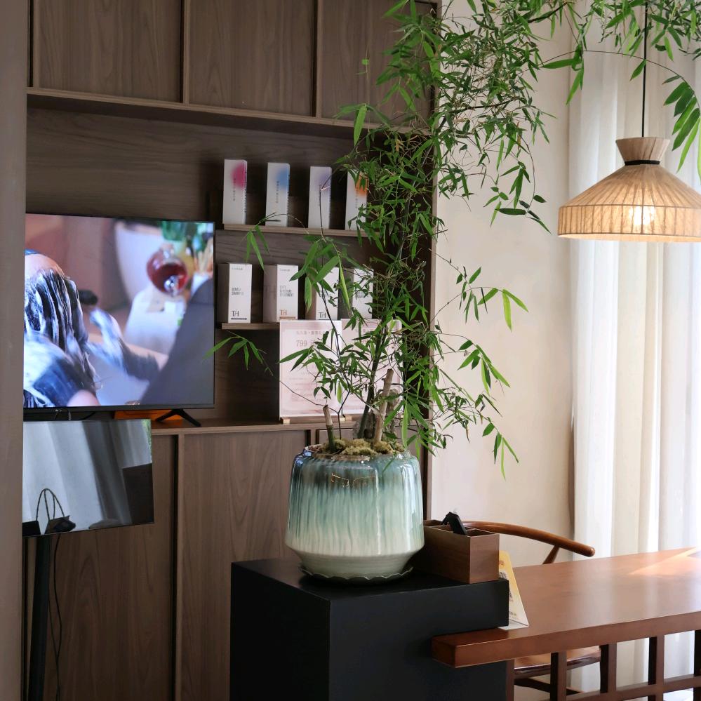 阳光开朗大女孩～