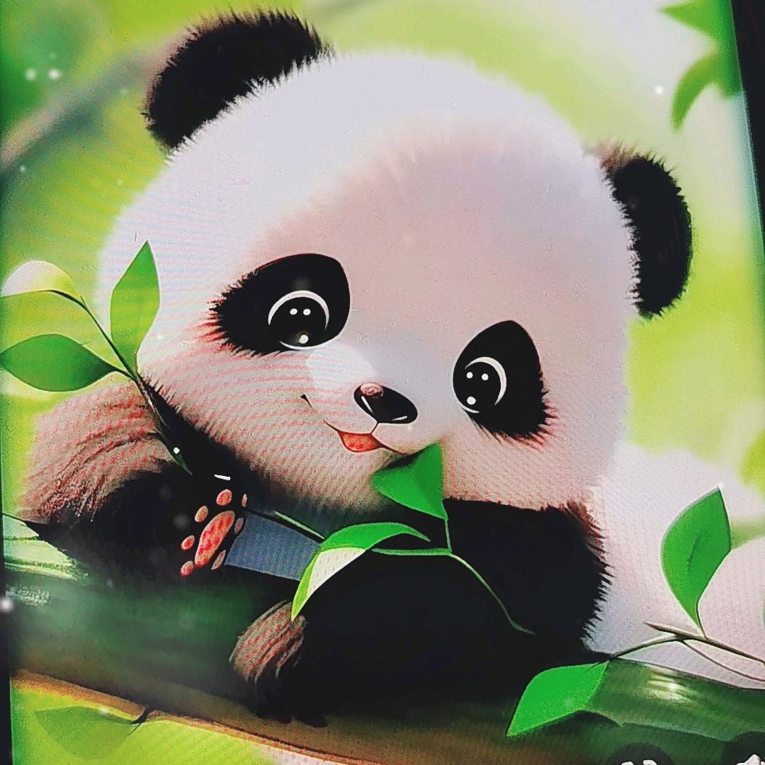 亲爱的，我们永远支持你！