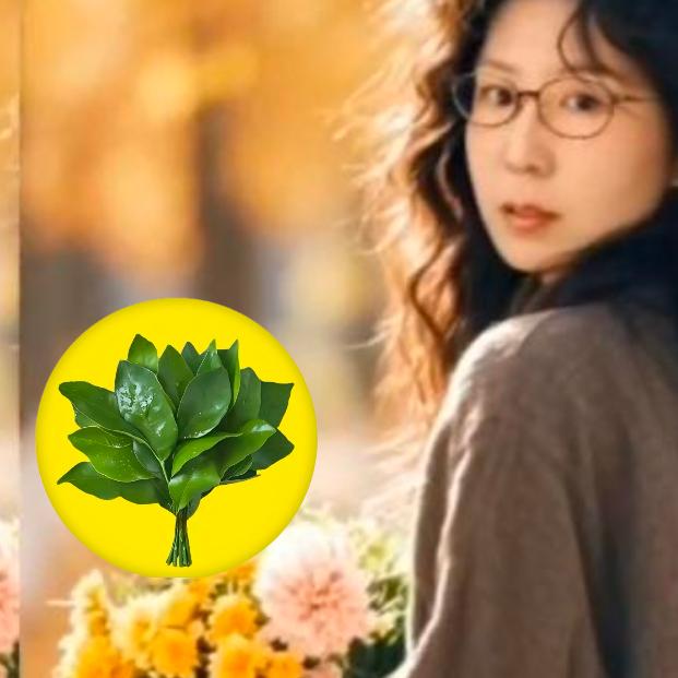 鑫汇穿搭