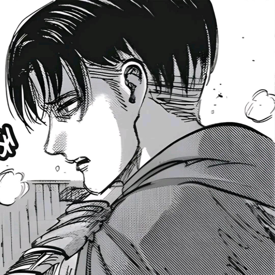 Levi