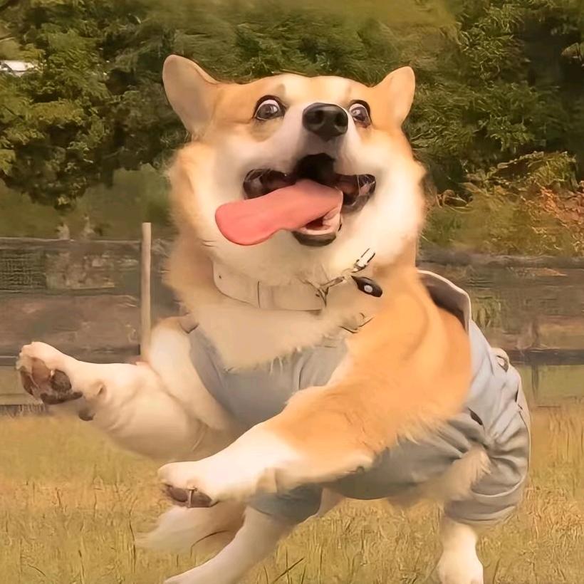 卡布叻_槑