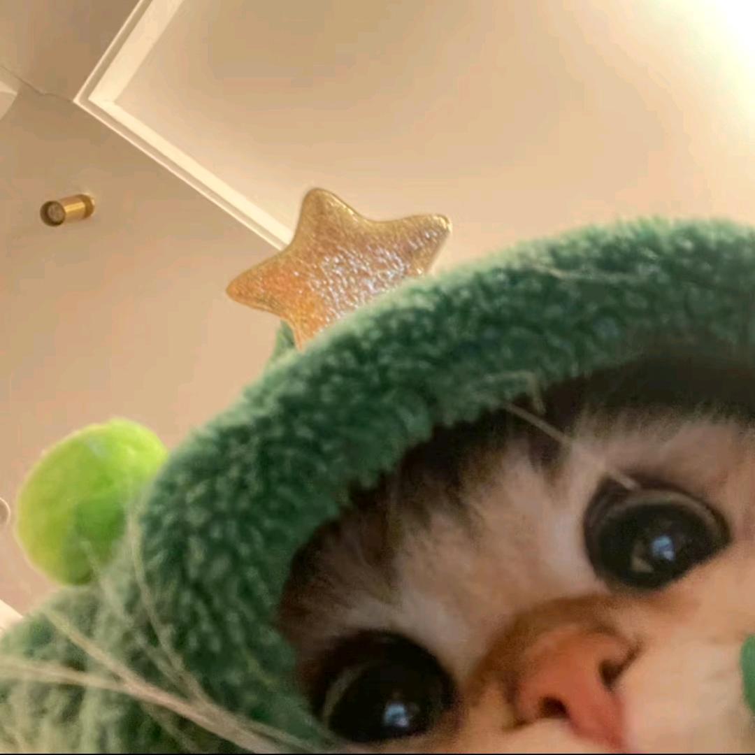 奶酱X