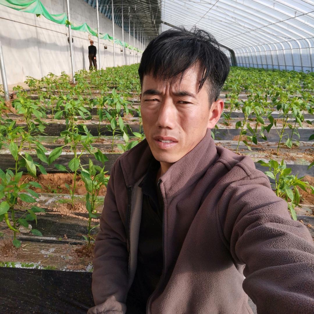 乡村小农夫《努力拍摄》