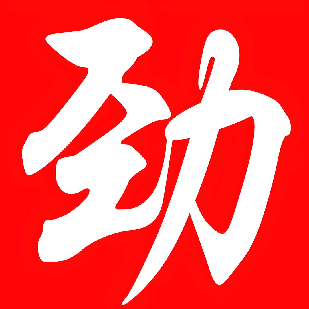 劲工角座阀