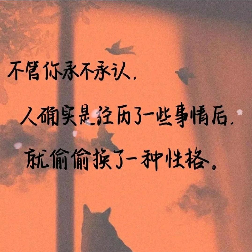 风一样自由