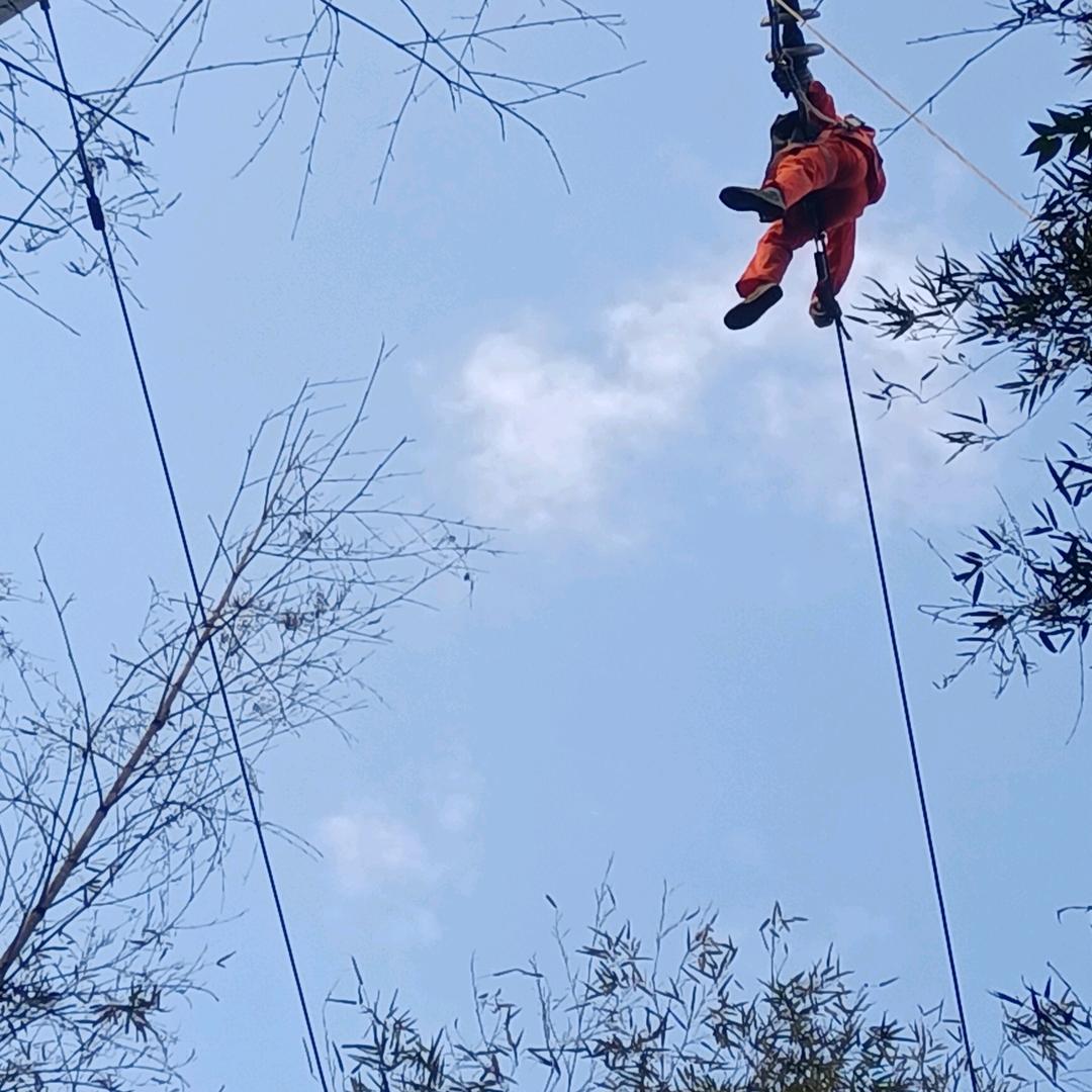 任我行天下，狼行天下