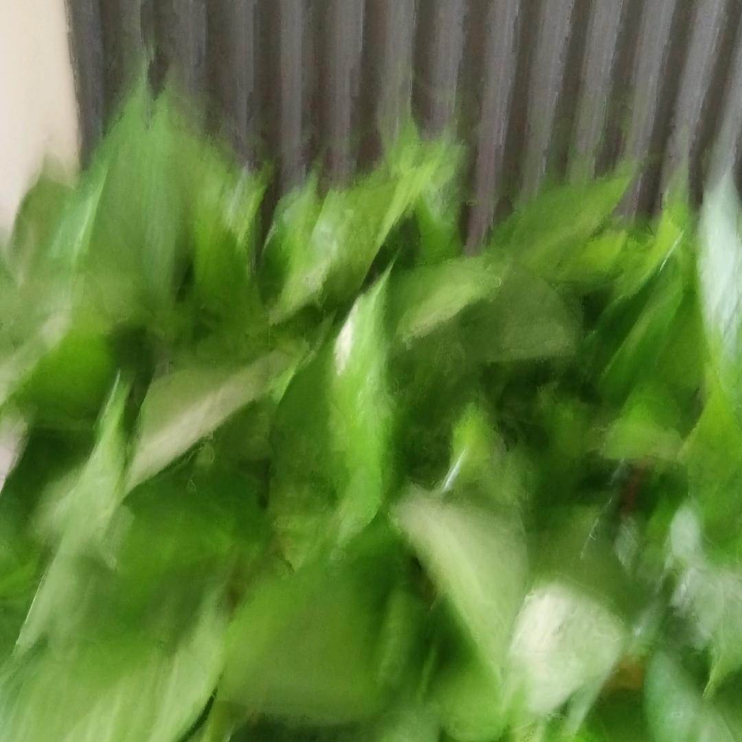 幸福常在