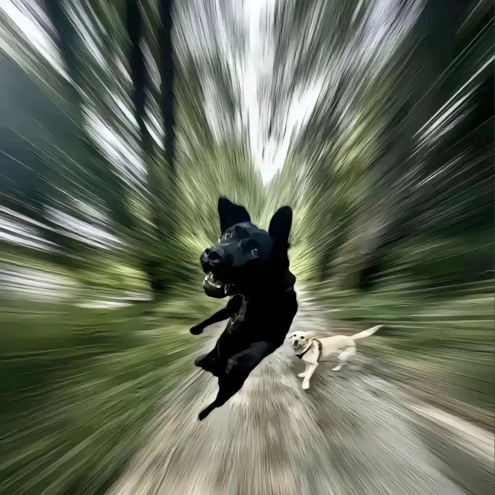 BATME