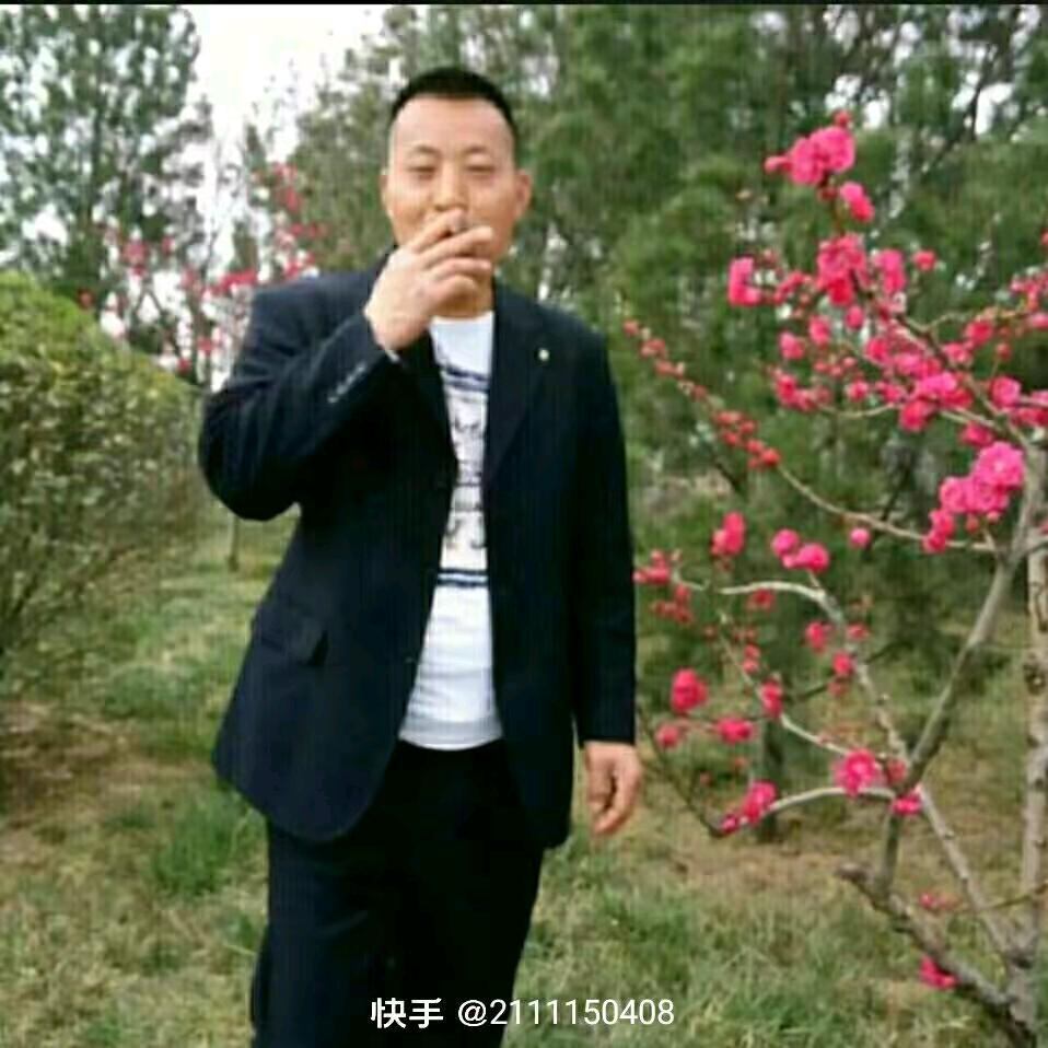 龙哥一