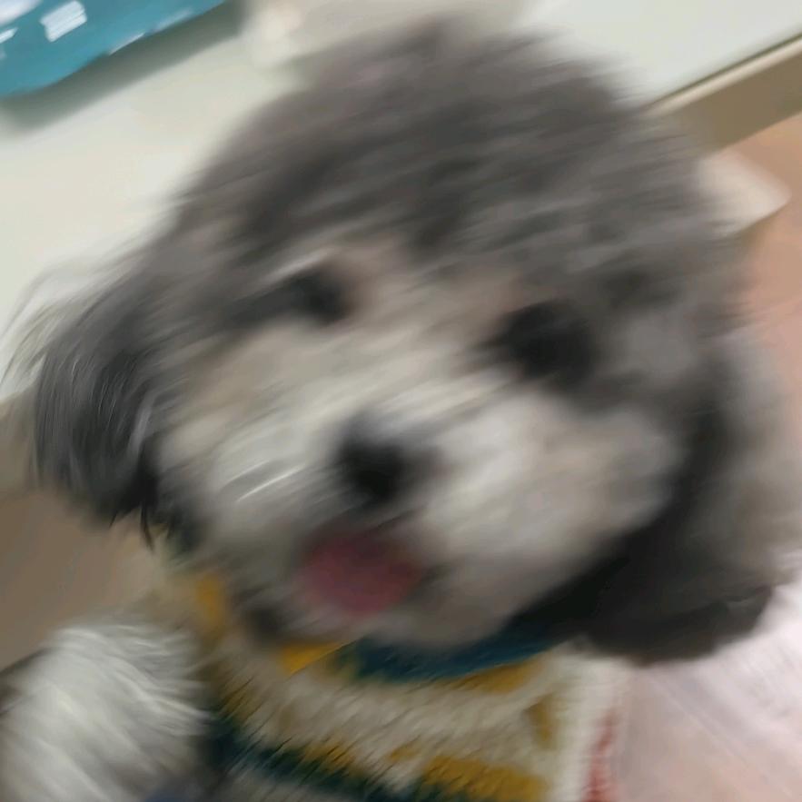 我啃啃啃了你