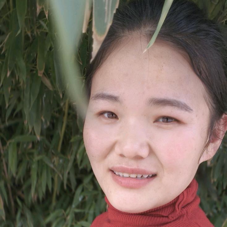 姗姗红枣