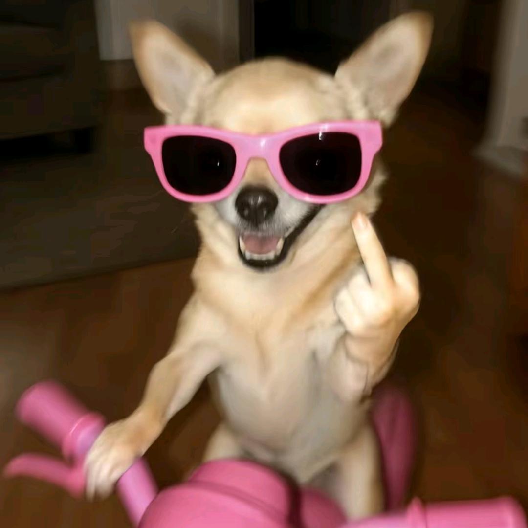 纯欲癫狂摇滚孤傲玫瑰绝情悍妇