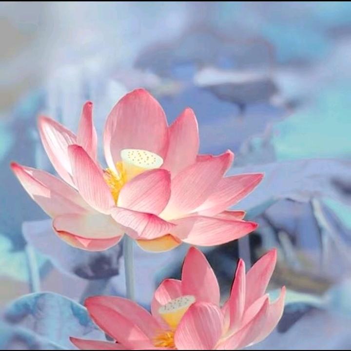 好运连连