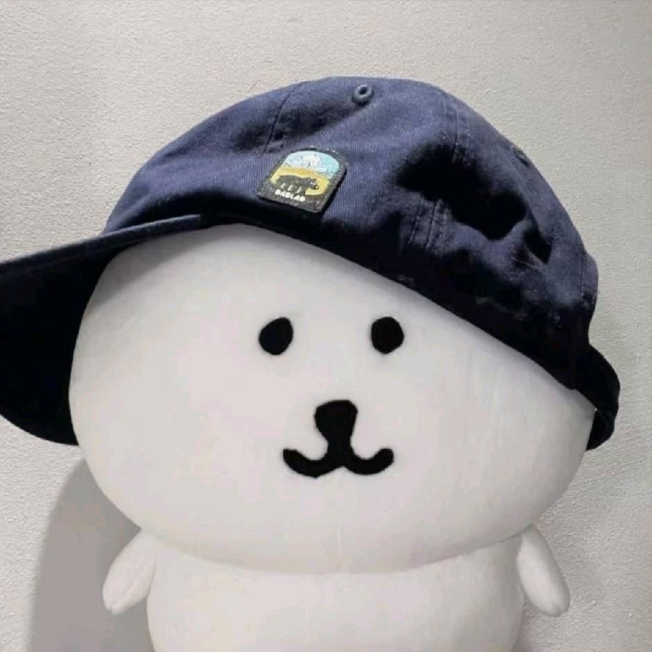 辞常北