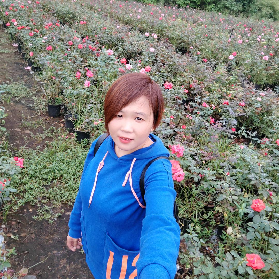秀秀