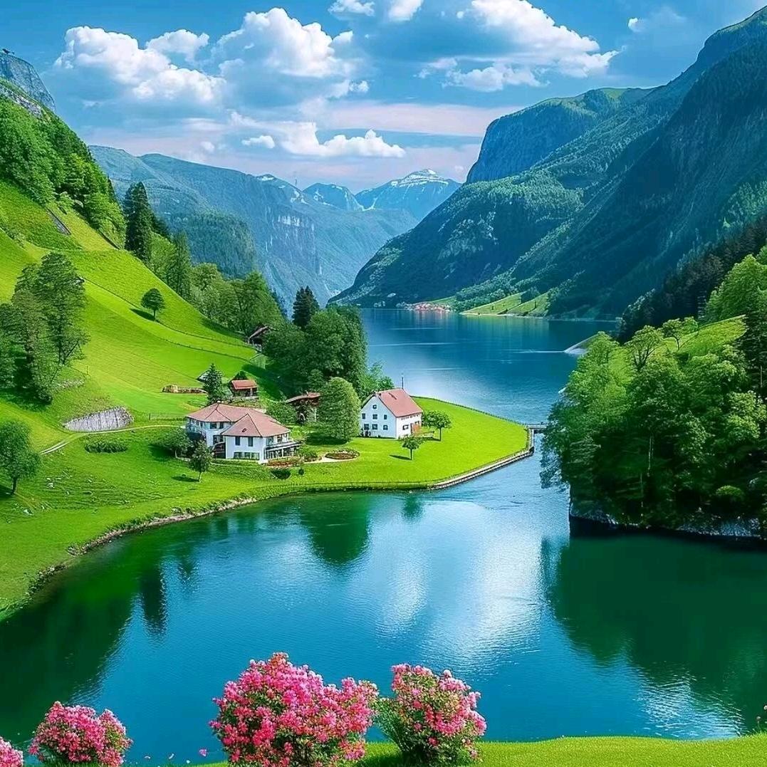大自然🌳