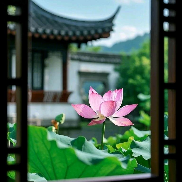 禅心悟道