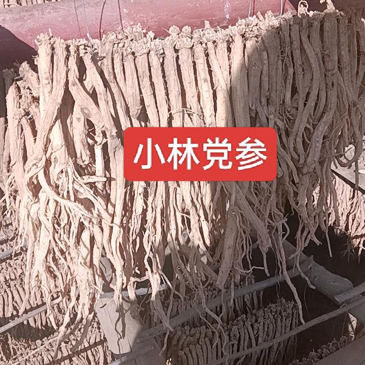 漳县小林滋补农品精选铺