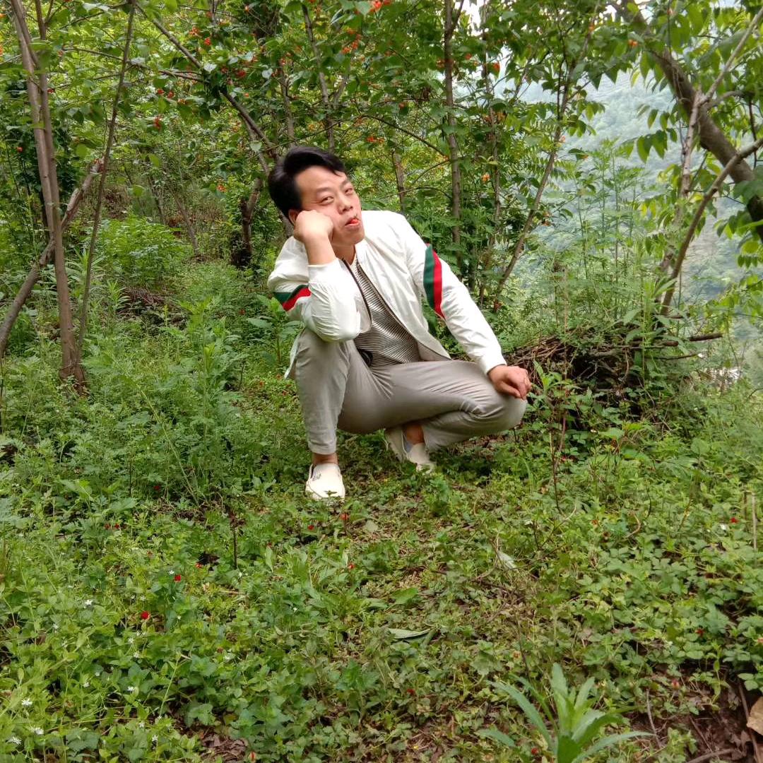 春哥2
