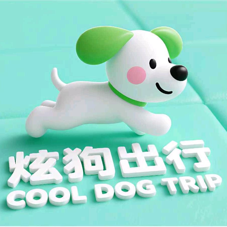 炫狗出行襄县拼车