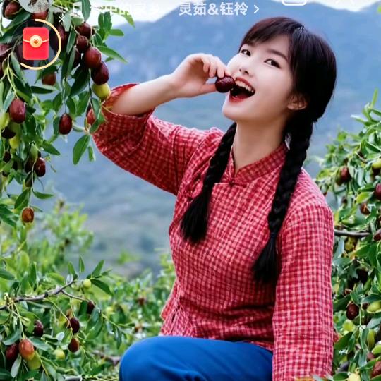 🔥玉兰越来越好！