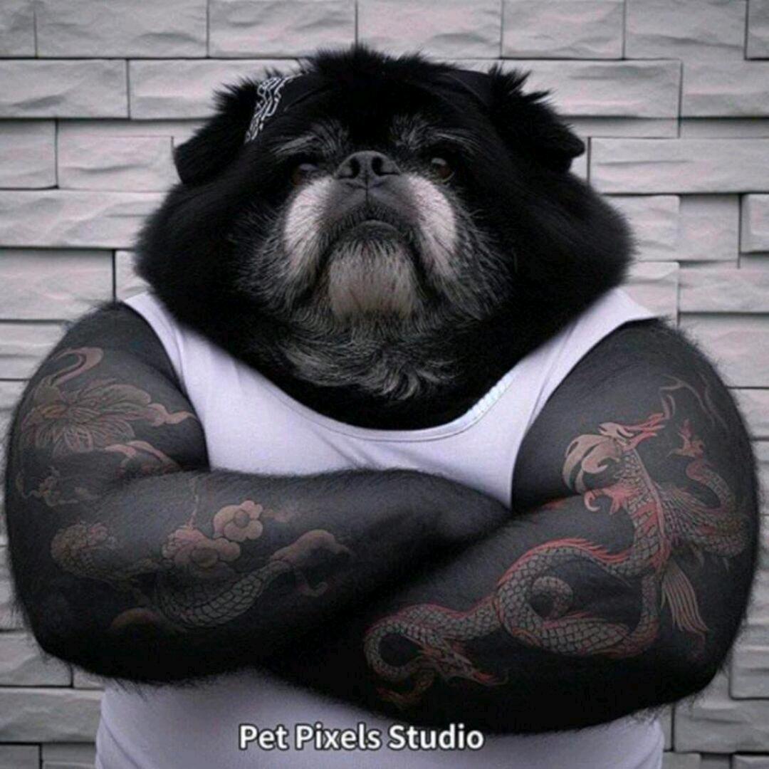 香蕉🍌(三角洲行动)