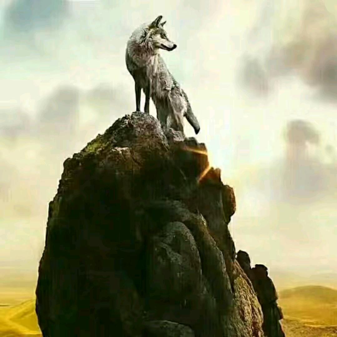 ٨ـﮩﮩ٨ـ♡ﮩ٨ـﮩﮩ٨