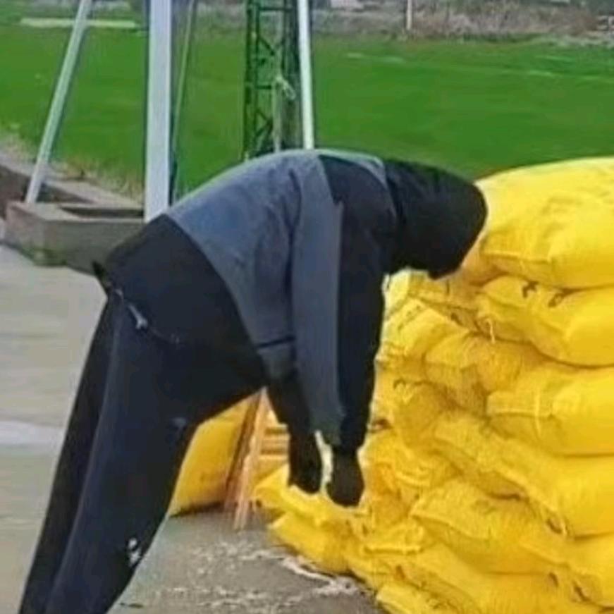 魔法少女李云龙