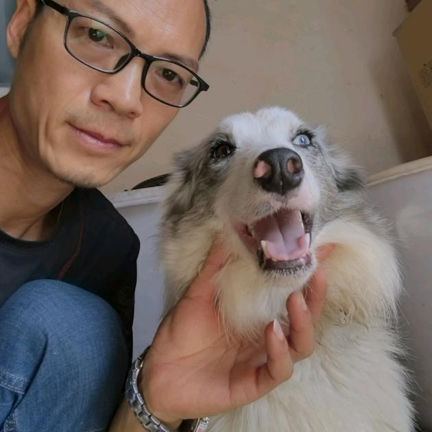老兵萌宠工坊，陈哥