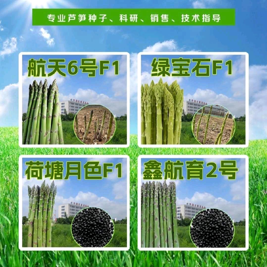 农业养殖（种植）