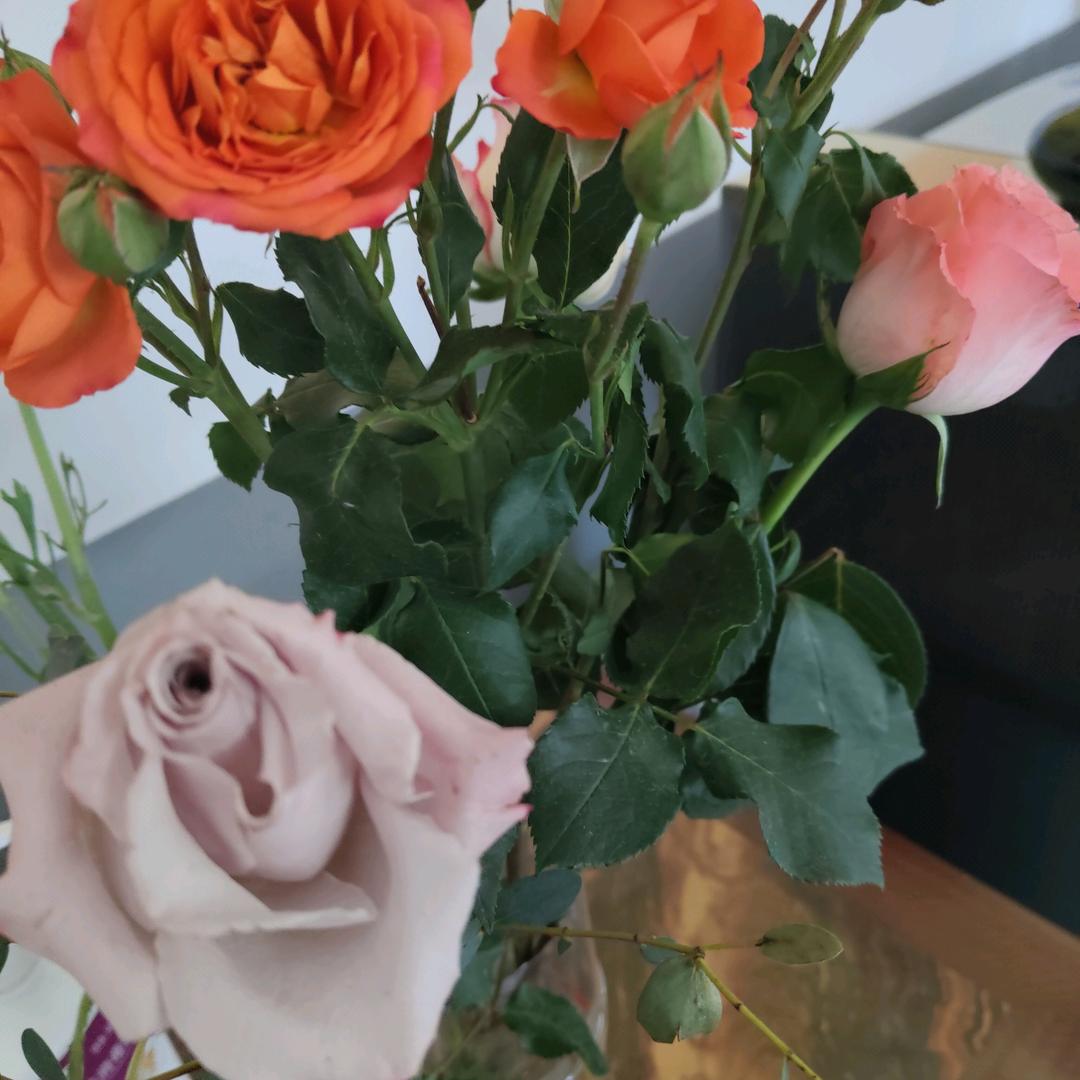 a🌹🌹