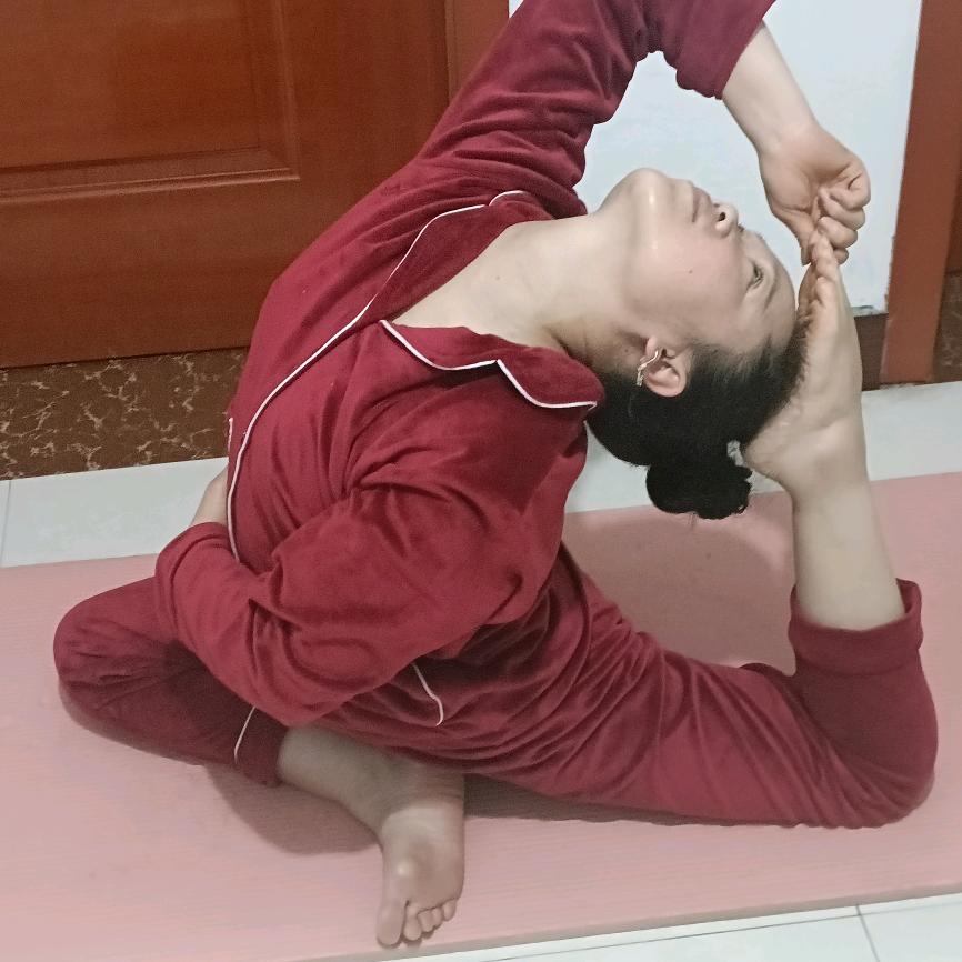 一枝梅