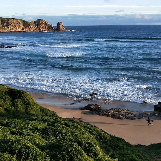 不喝牛奶的喵喵