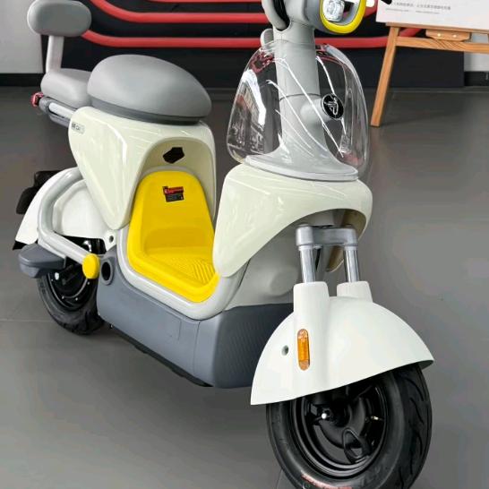铂金汉宫南门九号电车