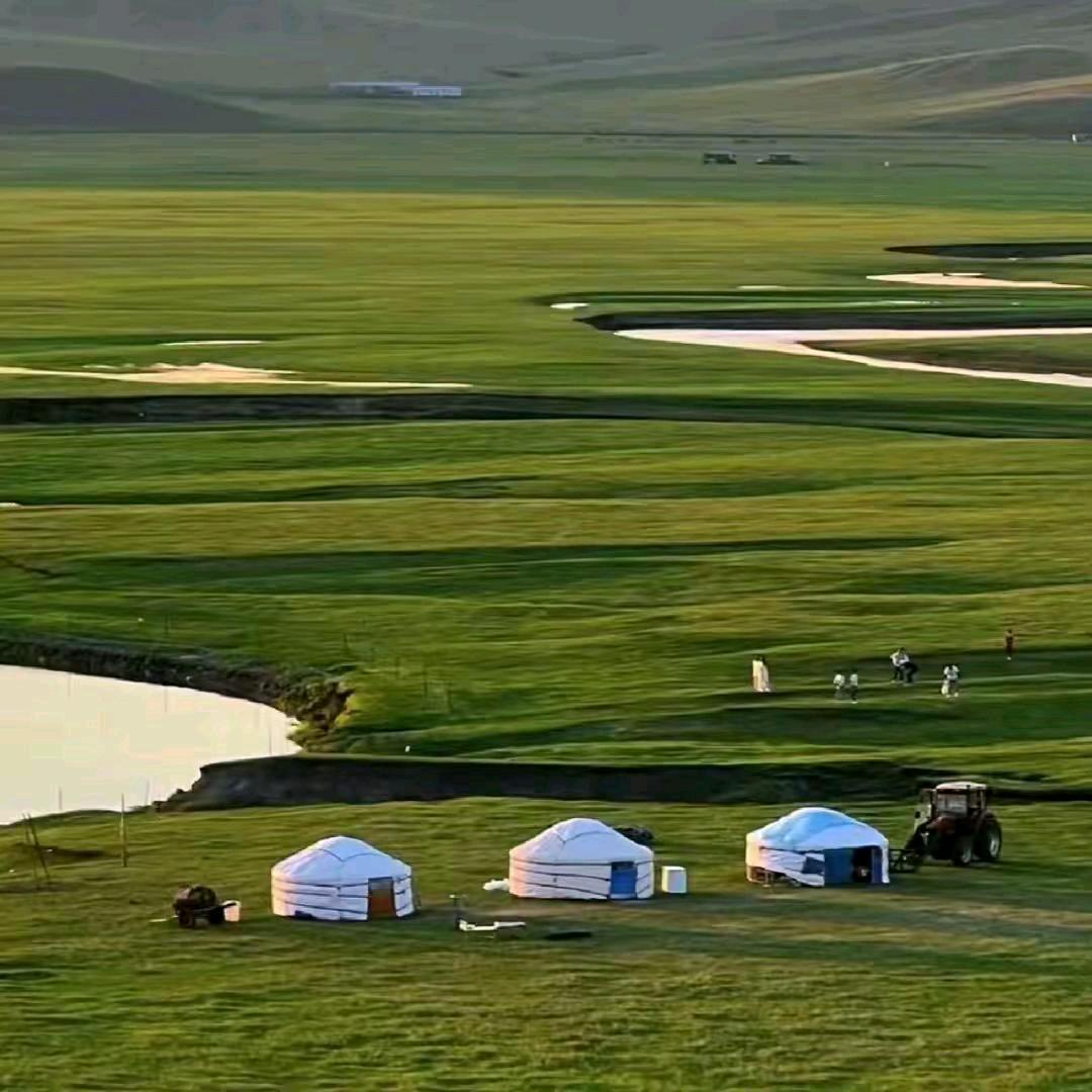 🌻沉🌺默🌸芯🍁蕊