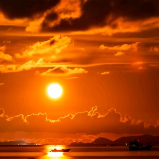 我的未来？，，，，，，