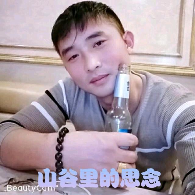 四季金辉