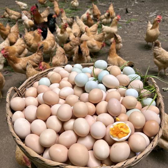 小优的农场日记