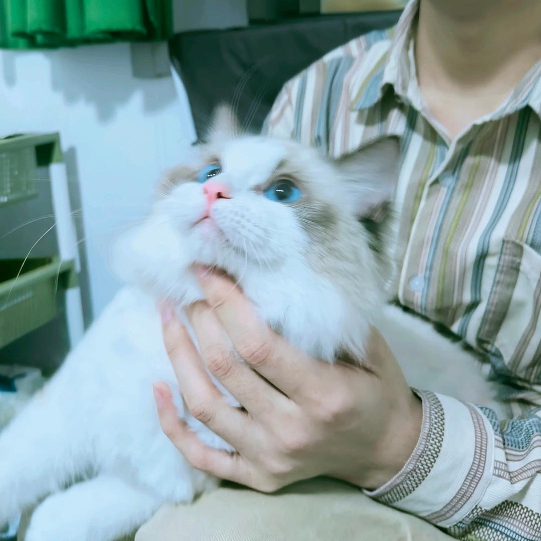 永真—离火之境