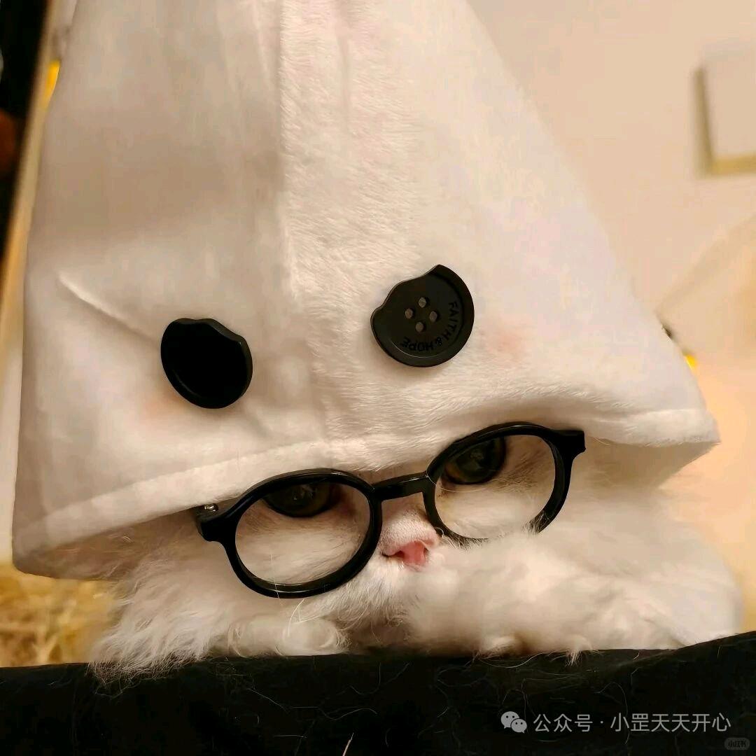 南风落
