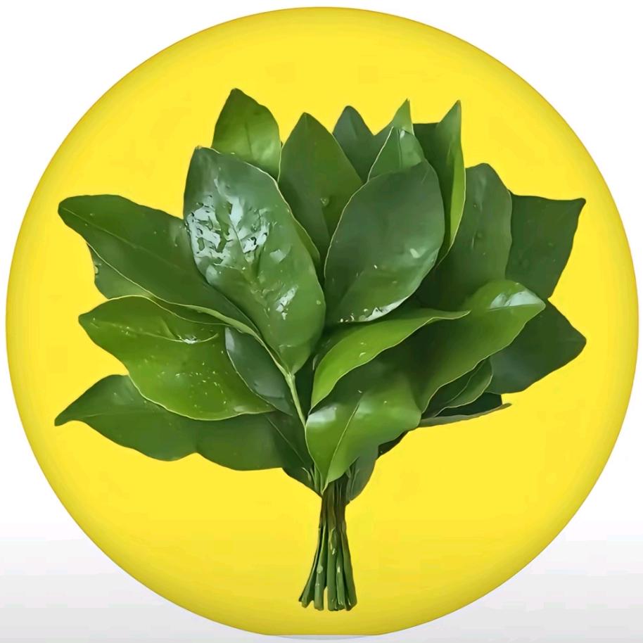 东莞小钰塑料包装